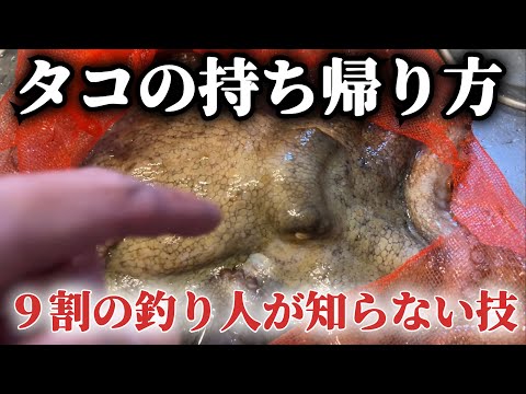 【これ最強やん】って釣り人が絶対なるタコの神技を全て見せましょう。