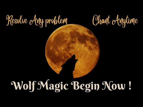 WOLF-MAGIC-BEGIN-NOW - Switchwords - 1 Hour Long - For Any Urgent Matters - WOLF-MAGIC-BEGIN-NOW !