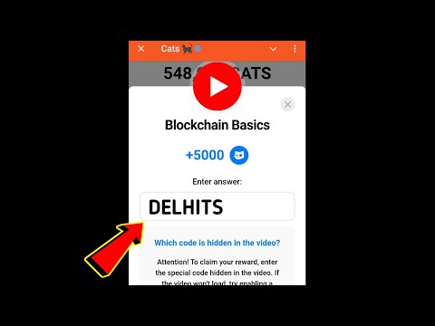 Blockchain Basics Cats Code | Blockchain Basics cats video code today