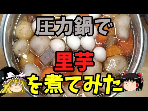 【筑前煮】圧力鍋で里芋を煮てみた・調味料は白だしオンリー【ゆっくり実況】