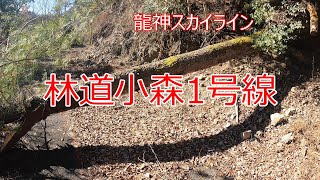 [スーパーキャリイ]護摩山道の駅から龍神温泉～林道走行動画です