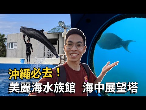 看完水族館又看海裡的魚！搭沖繩觀光巴士到熱門景點｜不自駕玩沖繩EP4