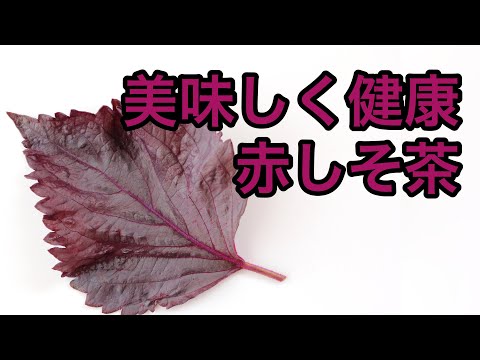 美味しい健康茶の淹れ方　赤しそ茶編　Introduction and explanation of red perilla tea