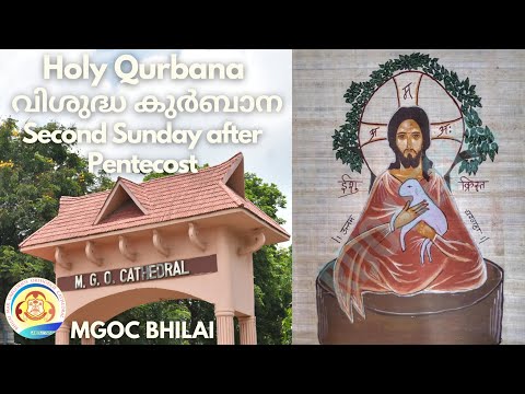 MGOC Bhilai | Morning Prayer & Holy Qurbana | 19th June 2022 | Second Sunday after Pentecost |