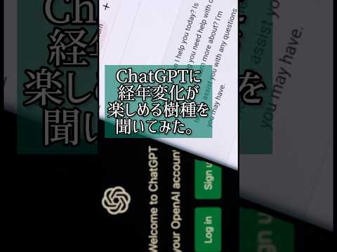 ChatGPTに経年変化が楽しめる樹種を聞いてみた。