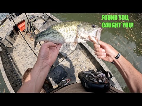 When you find a good Bass one day, and you go back another.....PERSISTENCE PAYS OFF!!