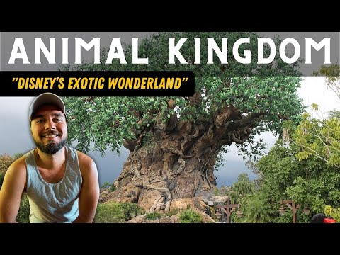 The Animal Kingdom - Everything you MUST SEE inside Disney's Exotic Wonderland