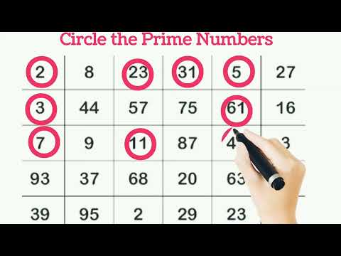 Prime Numbers | Circle the Prime Numbers | Prime Numbers Worksheet | #primenumbers