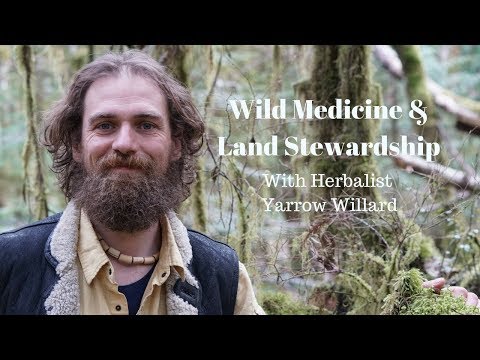 Wild Medicine & Land Stewardship | Yarrow Willard Cl.H.