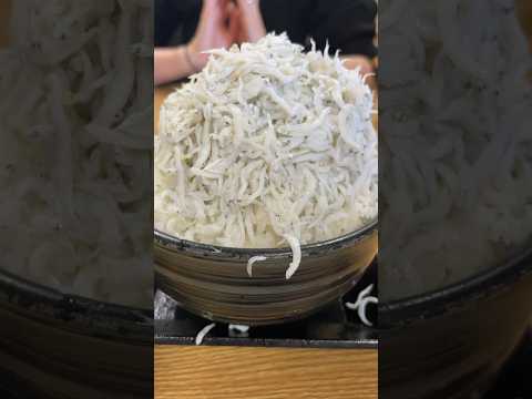 【幻のしらす丼】満幸商店のしらす丼がめちゃくちゃ美味しい！！和歌山県　観光　おすすめ