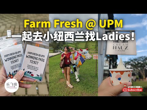 Farm Fresh @ UPM, Seri Kembangan | Day Trip | Milk Cows (Ladies)