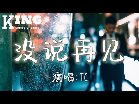 没说再见-TC【你走吧，我一个人能照顾好自己。全当做你从来没出现在我生命里。】［动态歌词］