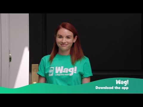 Download the Wag! App to Book On-Demand Dog Walks | Wag!