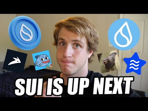 SUI has massive potential for this bull run! Why SUI and the ecosystem is up next!