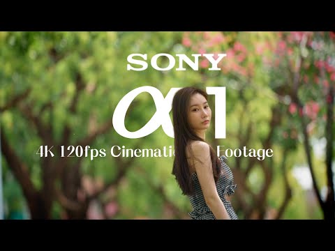 Sony A1 4K 120fps Cinematic  Footage