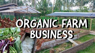 How To Earn In Organic Farming? Save Money By Knowing The 2 Major Focus In Organic Farming 💰🌸🌱