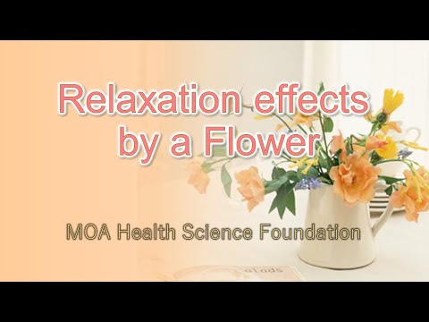 Relaxation effects by a Flower