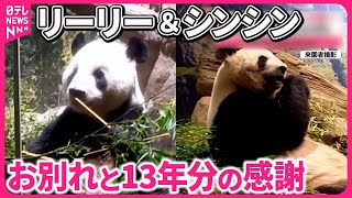 【29日に中国へ返還】パンダのリーリー＆シンシンに「13年分のありがとう」  東京・上野動物園