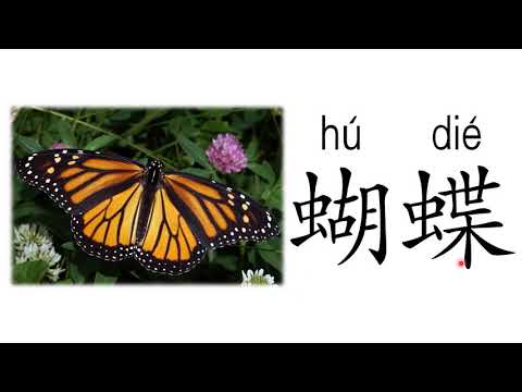 昆虫 | 学前教育班 Prasekolah 幼儿园 Preschool | Chinese | Theme 主题 : Serangga 昆虫