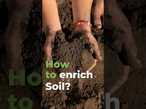 The Origins of the #SaveSoil Movement