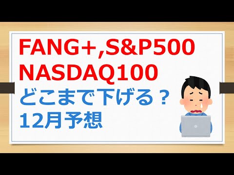 FANG+、S&P500、NASDAQ100、12月はどこまで下げるのか？　来年の1月は上げるか下げるか？【有村ポウの資産運用】241221