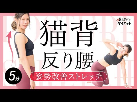 【ストレッチ】猫背・反り腰改善🧎‍♀️綺麗な姿勢を作るためのストレッチ