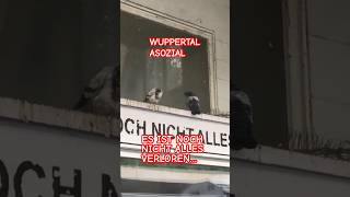 #taubenlife #wuppertal #tauben #pigeon #birdsoftheworld #meme #funnymeme #pigeons #chill #hanging 🐦