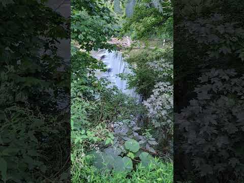 Peaceful Waterfall Meditation 🧘‍♀️✨️🦋 #peace #peaceful #waterfall #meditation #relax #calm #serenity