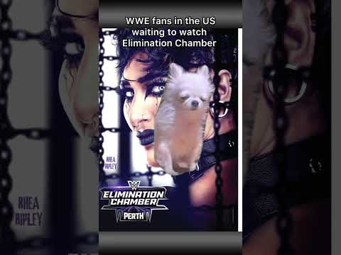 Where Are You Watching WWE Elimination Chamber Tonight?