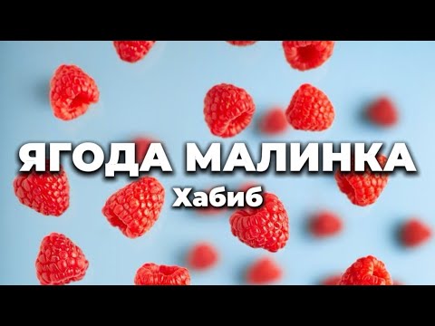 Хабиб - Ягода малинка (lyrics) || Текст песни