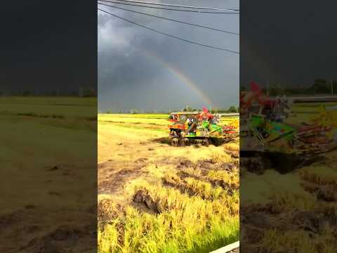 ท้องฟ้า สายรุ้ง และสายฝน เที่ยวฟิลผู้ประสบภัย #travel  #rain #rainbow #tracer  #tracer900gt