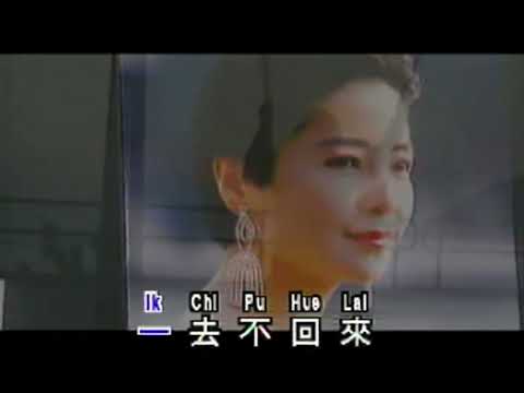 【KTV】鄧麗君 Teresa Teng - 情人的關懷 Qing Ren De Guan Huai【左伴右唱】1080p