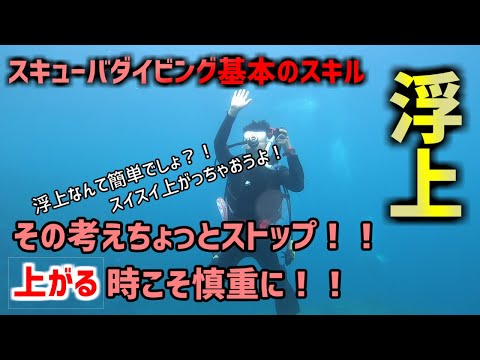 【沖縄ダイビング】基本のスキル　浮上　ピンクマーメイド