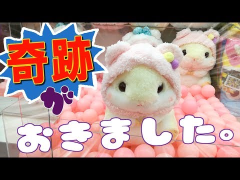 【UFOキャッチャー】閲覧必須！奇跡があるからやめられないんだよなぁ(*´艸`)【クレーンゲーム】【攻略】　(Japanese claw machine)