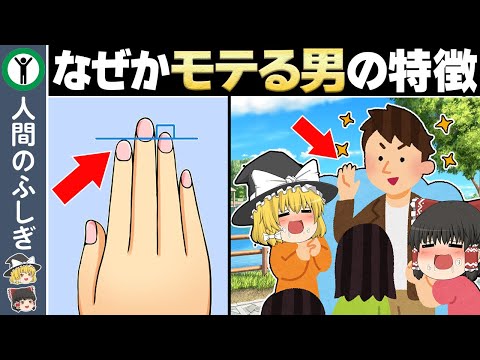 やたらとモテる男の特徴6選【ゆっくり解説】