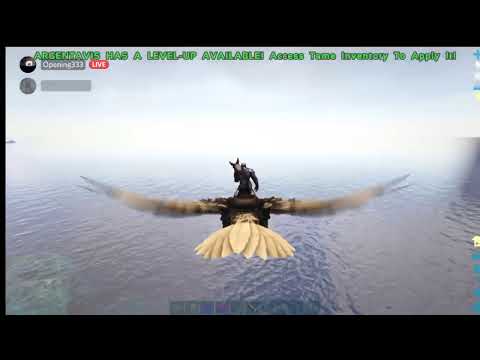 just an ark stream