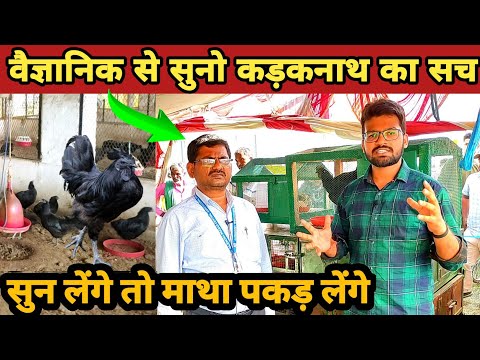 कड़कनाथ मुर्गा की जानकारी | कड़कनाथ मुर्गी कितने अंडे देती है | Kadaknath chicken farming in india