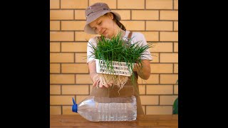 How to reuse plastic for amazing planting routine ♻🌱 #shorts #planting #garden #diy #reuse