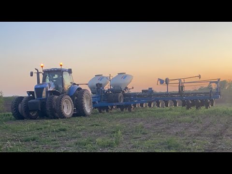 Molly’s Live in the Tractor