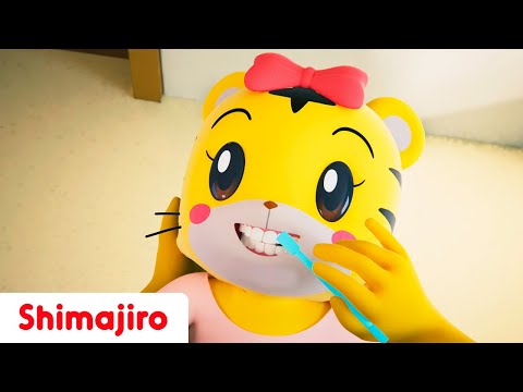 🪥🎶 Brush, Shine & Smile Bright! | 😁 Brush your Teeth with Shimajiro & Hanna 🐯 | Songs for Toddlers 🎵