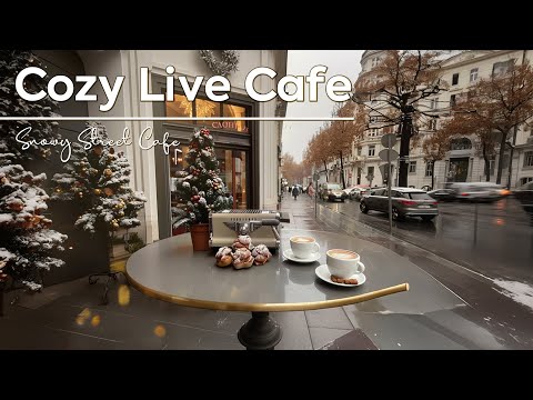 Cozy Live Cafe ~ Discovery Bustling Coffee Making in the Worlds & Snowy Street in Your Winter ❄️☕