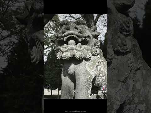 この神社動画が表示されたあなたは、神さまからお呼び頂けました。幸運へお導き頂けます。