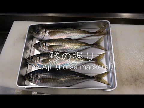 【江戸前寿司】鯵（アジ）の握りを仕込みから握り寿司になるまで紹介　How to  cook Aji（horse mackerel）Sushi