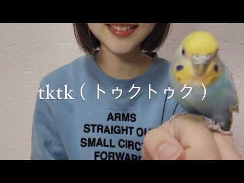 ASMR  トゥクトゥクしゃべる🛺綿棒でビジュアルトリガーも