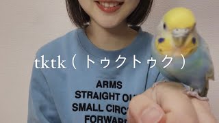 ASMR  トゥクトゥクしゃべる🛺綿棒でビジュアルトリガーも