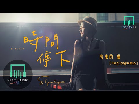 房東的貓 - 時間停下「光陰裏的你我和他 在青春裏開花」【動態歌詞Lyrics】