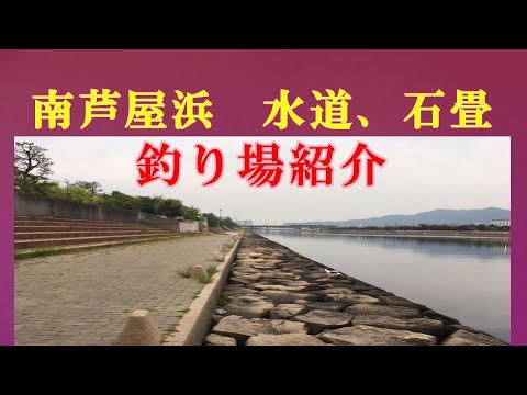 2021.12月中旬　ハマチ、メジロかなり釣れてます！南芦屋浜北側水道の石畳　釣り場紹介！大阪湾穴釣り　チヌ、ハネ、シーバス、メバル、ガシラ狙い