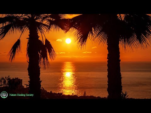 MORNING Relaxing Music With Beach From Madagascar 528Hz