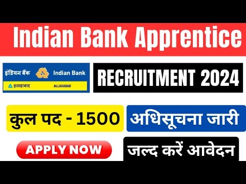 indian bank apprentice 2024 from fill up|indian bank from fill up #indianbank #bankjob  #bank #job