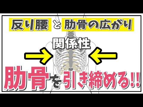 【肋骨を引き締める】反り腰と肋骨が広がっていることの関連性～肋骨を引き締めるセルフケア２選～